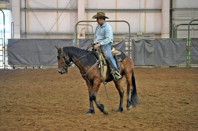 BLM Extreme Mustang Makeover